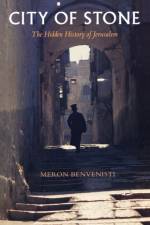 City of Stone af Meron Benvenisti