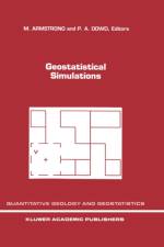 Geostatistical Simulations