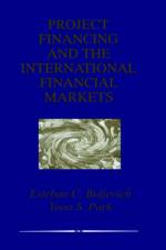 Project Financing and the International Financial Markets af Esteban C. Buljevich