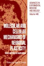 Molecular and Cellular Mechanisms of Neuronal Plasticity