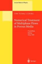 Numerical Treatment of Multiphase Flows in Porous Media