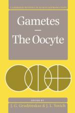 Gametes - The Oocyte