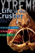 Extreme Science: Life in the Crusher af Trevor Day