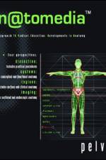 Anatomedia: Pelvis CD af Norman Eizenberg
