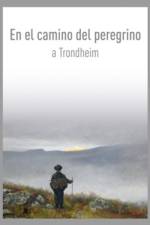 En el camino del peregrino a Trondheim / On the Pilgrim Way to Trondheim