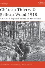 Chateau Thierry and Belleau Wood 1918 af David Bonk