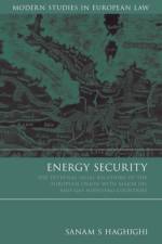Energy Security af Sanam S. Haghighi