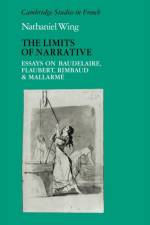 The Limits of Narrative