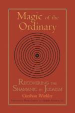 Magic of the Ordinary af Gershon Winkler