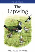 The Lapwing af Michael Shrubb