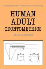 Human Adult Odontometrics af Julius A. (University of the Witwatersrand Kieser