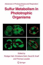 Sulfur Metabolism in Phototrophic Organisms