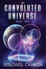 Convoluted Universe: Book Two af Dolores (Dolores Cannon) Cannon