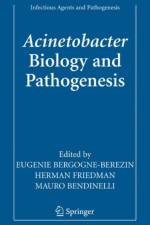 Acinetobacter