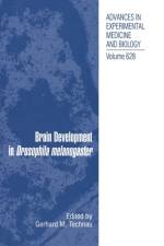 Brain Development in Drosophila melanogaster