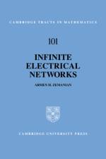 Infinite Electrical Networks af Armen H. (State University of New York Zemanian