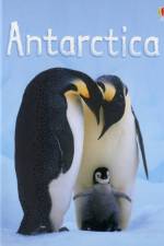 Antarctica af Lucy Bowman