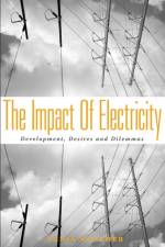 The Impact of Electricity af Tanja Winther