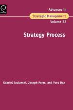 Strategy Process