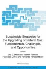 Sustainable Strategies for the Upgrading of Natural Gas: Fundamentals, Challenges, and Opportunities