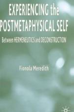 Experiencing the Postmetaphysical Self af Fionola Meredith
