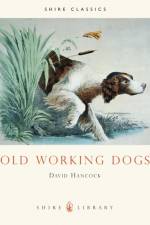 Old Working Dogs af David Hancock