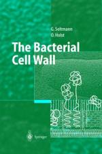 Bacterial Cell Wall af Guntram Seltmann