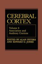 Association and Auditory Cortices
