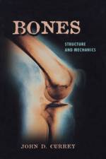 Bones af John D. Currey
