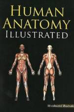 Human Anatomy Illustrated af B Jain Publishers