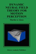 Dynamic Neural Field Theory for Motion Perception af Martin A. Giese