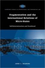 Fragmentation and the International Relations of Micro-states af Jorri C. Duursma