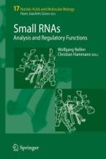 Small RNAs:
