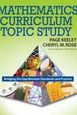 Mathematics Curriculum Topic Study