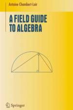 Field Guide to Algebra af Antoine Chambert-Loir