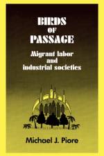 Birds of Passage af Michael J. Piore