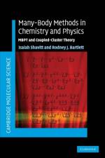 Many-Body Methods in Chemistry and Physics af Isaiah (University of Illinois Shavitt