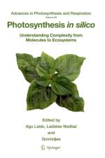 Photosynthesis in silico