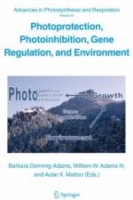 Photoprotection, Photoinhibition, Gene Regulation, and Environment