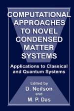Computational Approaches to Novel Condensed Matter Systems