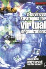 e-Business Strategies for Virtual Organizations af Janice Burn