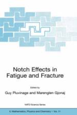 Notch Effects in Fatigue and Fracture