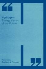 Hydrogen: Energy Vector of the Future af G. Beghi