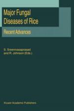 Major Fungal Diseases of Rice