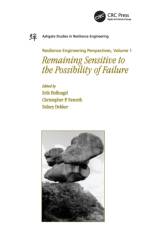 Resilience Engineering Perspectives, Volume 1 af Christopher P. Nemeth