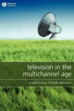 Television in the Multichannel Age af Megan Mullen