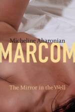 Mirror in the Well af Micheline Aharonian Marcom