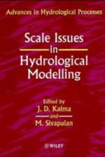 Scale Issues in Hydrological Modelling
