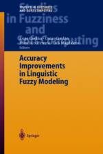 Accuracy Improvements in Linguistic Fuzzy Modeling