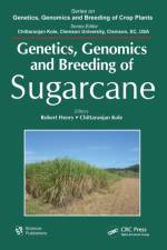 Genetics, Genomics and Breeding of Sugarcane
